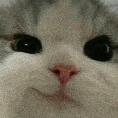 trusttr63719116's profile picture. 