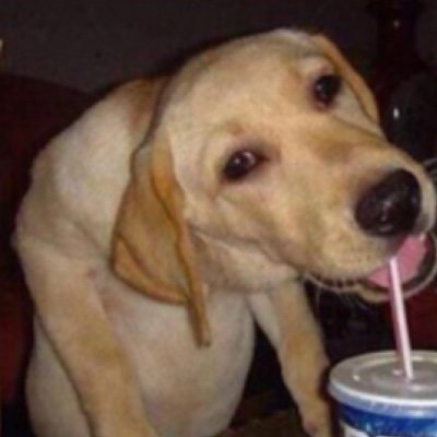 ZBreastmil90181's profile picture. Artist/20)