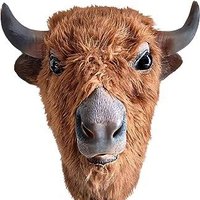 バイソン柴田 (@baisonshibata) Twitter profile photo