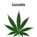 CannabisNow (@cannabisnow02) Twitter profile photo CannabisNow (@cannabisnow02) Twitter profile photo