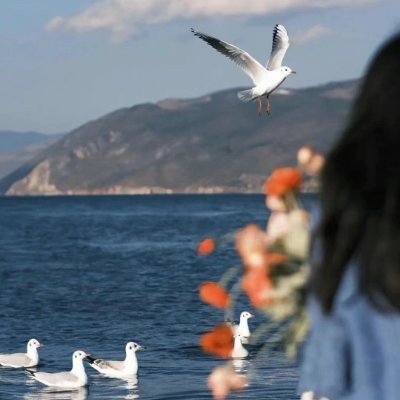 fcurlsfollow56's profile picture. I am a girl who likes to travel, hike, experience new cultural and historical backgrounds, fitness and sports. 🎀🎀
Patience, success is not far away 👏💞✨