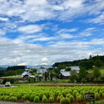 scion1020's profile picture. 👍