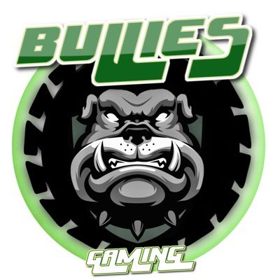 Bullies Academy Gaming