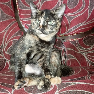 mithakyunai's profile picture. From God For code 

B3M638CL
