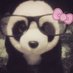 dog (@bellaxyhs) Twitter profile photo dog (@bellaxyhs) Twitter profile photo