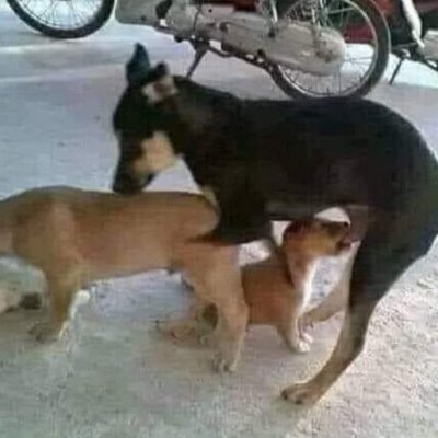 quang_tuon53485's profile picture. 