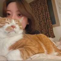 🌊 (@me0inpp) 's Twitter Profile