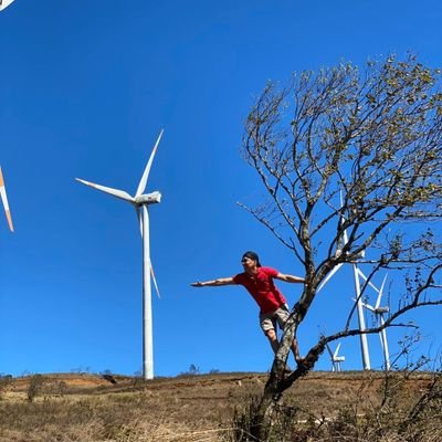 Dedicado al cuento de la TV...creador de contenidos y preparación de  talentos.
Lider creativo en Teleantioquia