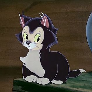 EN___sss's profile picture. 純粋に猫が大好き。男女問わず猫顔の美人さんも大好き。推しが多い関西人。北斗もニキも矢花も佐野もユウマも田所くんも見守ります。