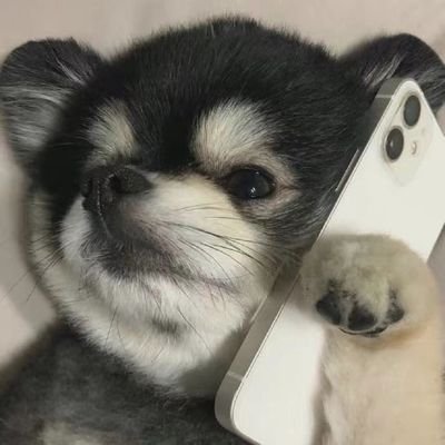 NORAwwzh's profile picture. 