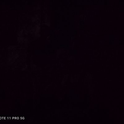 Shameless_66's profile picture. 