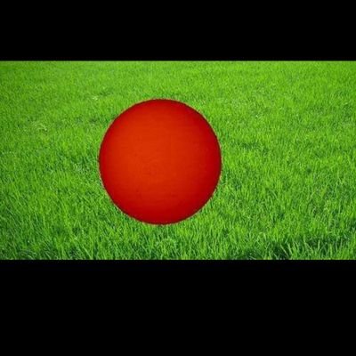 msranamia14546's profile picture. 