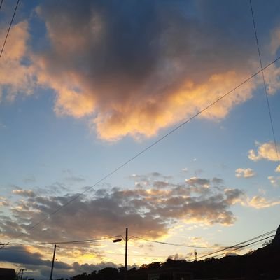 🍀さんのプロフィール画像