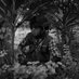 Myo Satt Hla Thaw (@myosatthlathaw) Twitter profile photo Myo Satt Hla Thaw (@myosatthlathaw) Twitter profile photo