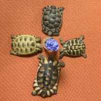 🌵🐢穴掘久🦜🦎 (@ivqqmcv2jykm0sf) 's Twitter Profile Photo