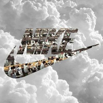 petals_house's profile picture. 