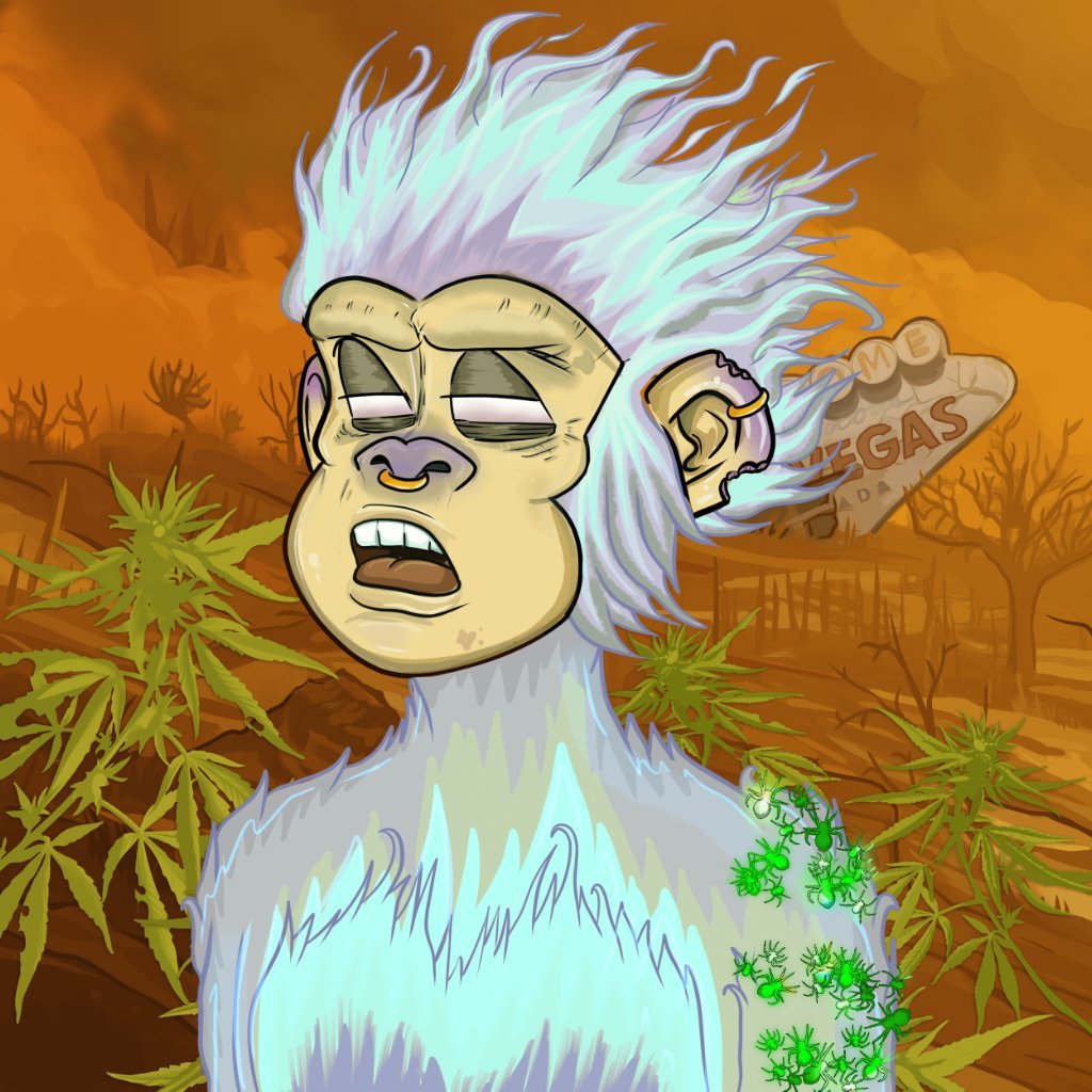 SecTech41036's profile picture. 