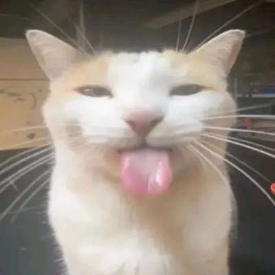 vipfr_'s profile picture. 