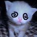 Elena (@valeria19649135) Twitter profile photo Elena (@valeria19649135) Twitter profile photo