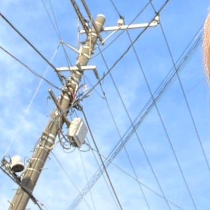 shiotttttttttan's profile picture. 🐥👑とOL民です。20↓