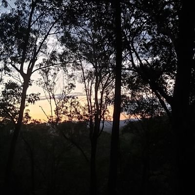 spooky_actioner's profile picture. At a distance