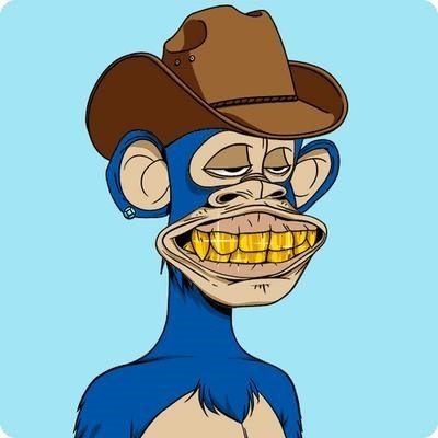 Spiritual Integrator, Govcon Consultant, Crypto Wizard w/ a natural 20
