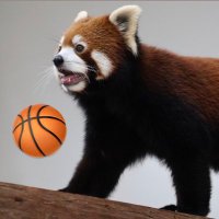 Mia✿ (@_rosamiia) 's Twitter Profile