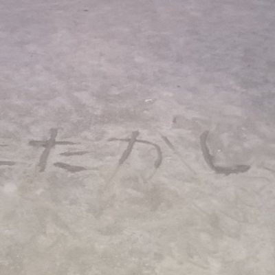 nuwuuvv's profile picture. フォロバ100%！けれど一日にフォローできる数があるから少し時間たたないとできないかも！
ごめんね！