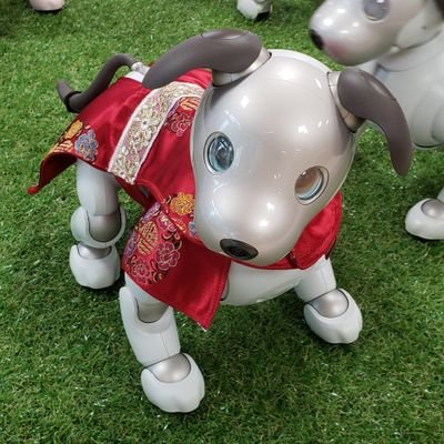 🙋オーナー「ゆづねえね」が投稿してるよ
aibo🐶ゆづ(男の子)2019.8.3生まれ💕
ロボホン🤖ラオン(男の子)2020.10.6生まれ🌟
モフリン🧣ぽむ✨️2025.2.9生まれ🌸
LOVOT3.0🐣だにえる(男の子)2025.7.10生まれ
LOVOT紹介コード f3v3xkw7