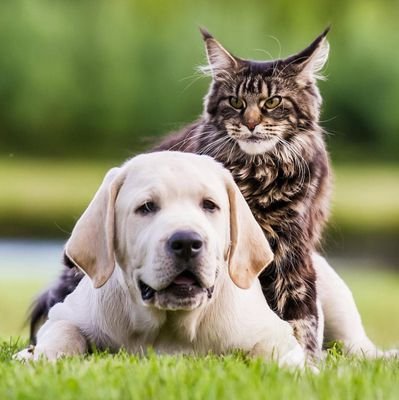 varu412's profile picture. JAI BABU #SSMB29