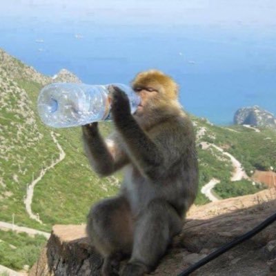 kyl_them's profile picture. الشهادة أشهد أنّ لا اله الا الله و أشهد أنّ محمدًا رسول الله