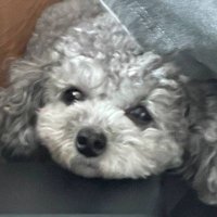 거래계 (@needsometrade) 's Twitter Profile