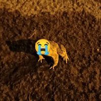 Lumierecon :loudlycryingface: :loudlycryingface: (@lumierecon) 's Twitter Profile