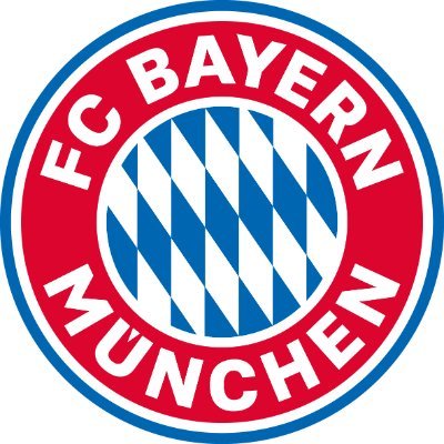FC Bayern Brasil Profile