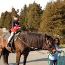 Nelson Stubbs - @NelsonStubbs - Twitter