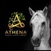 Athena Herd Foundation CIC (@AthenaHerd) Twitter profile photo