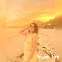 pareyto_n84's profile picture. iletisimlunaspia