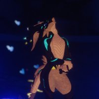 Kenny Dingo (@kennyfluff44) 's Twitter Profile