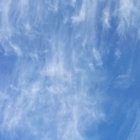allforvi (@allforvi64) 's Twitter Profile