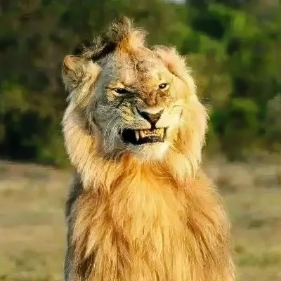 Tom43054800's profile picture. ימני אובייקטיבי, טובת המדינה והאזרחים קודמת לכל.
מאמין רק לעובדות ולא לתאוריות ריקות ללא בסיס.
מצביע לפי אג'נדה ולא לפי מי יושב במפלגה.