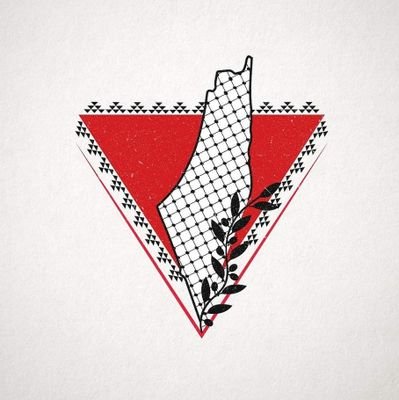 SomMhmd's profile picture. 