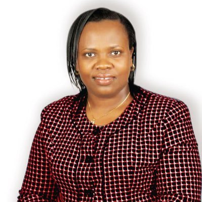 MNA Kenya 12th Parliament,current;Lecturer