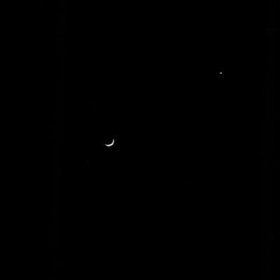 ARI7g's profile picture. Take a walk. 20 10 20.🕊️. ODG