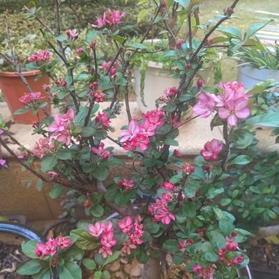 fanyao1013's profile picture. 