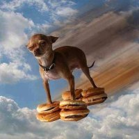Gutworm (@creambouo) 's Twitter Profile