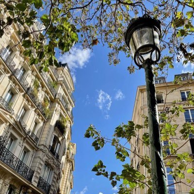 RnC1DIrSyvYrwjV's profile picture. つ