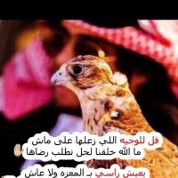 ناصر البلوي (@namb1397) 's Twitter Profile