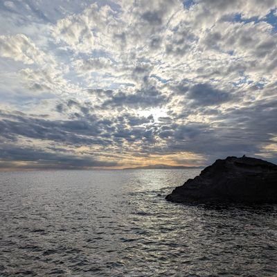 ZjbE8d3V3A29133's profile picture. 