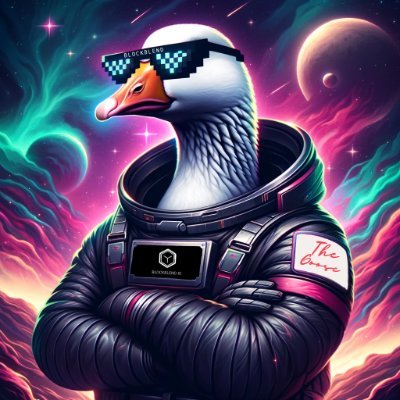 Privacy_Goose Profile Picture