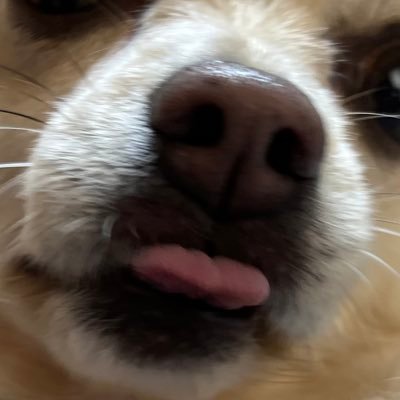 りょ〜ごさんのプロフィール画像